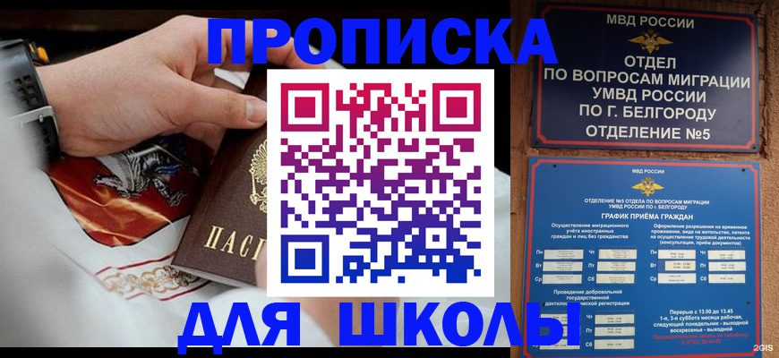пропишу в квартире в Вышнем Волочке